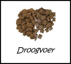 Droogvoeding - Kat