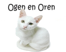 Ogen en Oren - Kat
