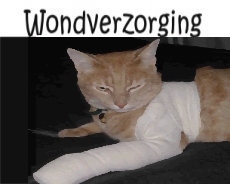 Wondverzorging - Kat